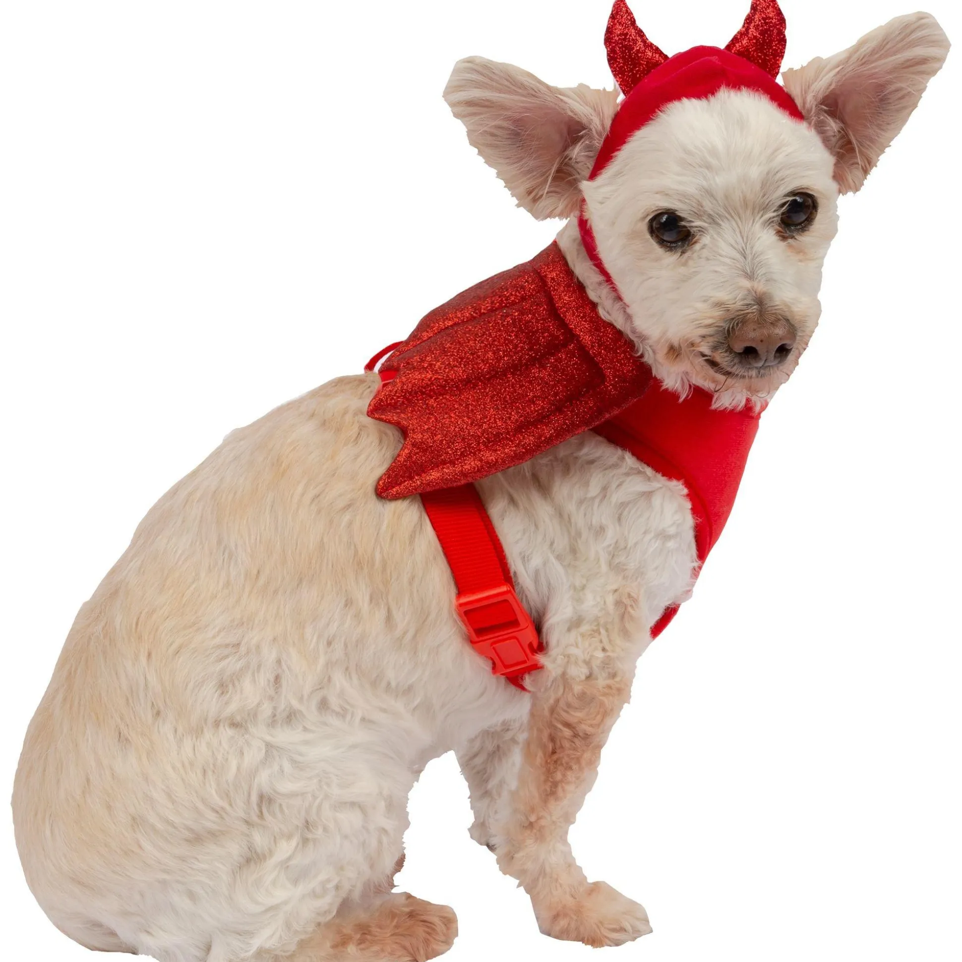 Cheap Red Winged Devil Dog Harness Set Wings