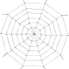 Party City Rope Spider Web| Spiders & Webbing