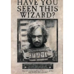 Party City Sirius Black Lenticular Plastic Cutout, 12In X 18In - Harry Potter| Decorations