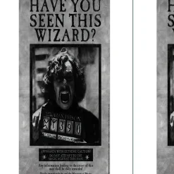 Party City Sirius Black Lenticular Plastic Cutout, 12In X 18In - Harry Potter| Window & Wall Décor