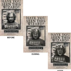 Party City Sirius Black Lenticular Plastic Cutout, 12In X 18In - Harry Potter| Harry Potter Hogwarts