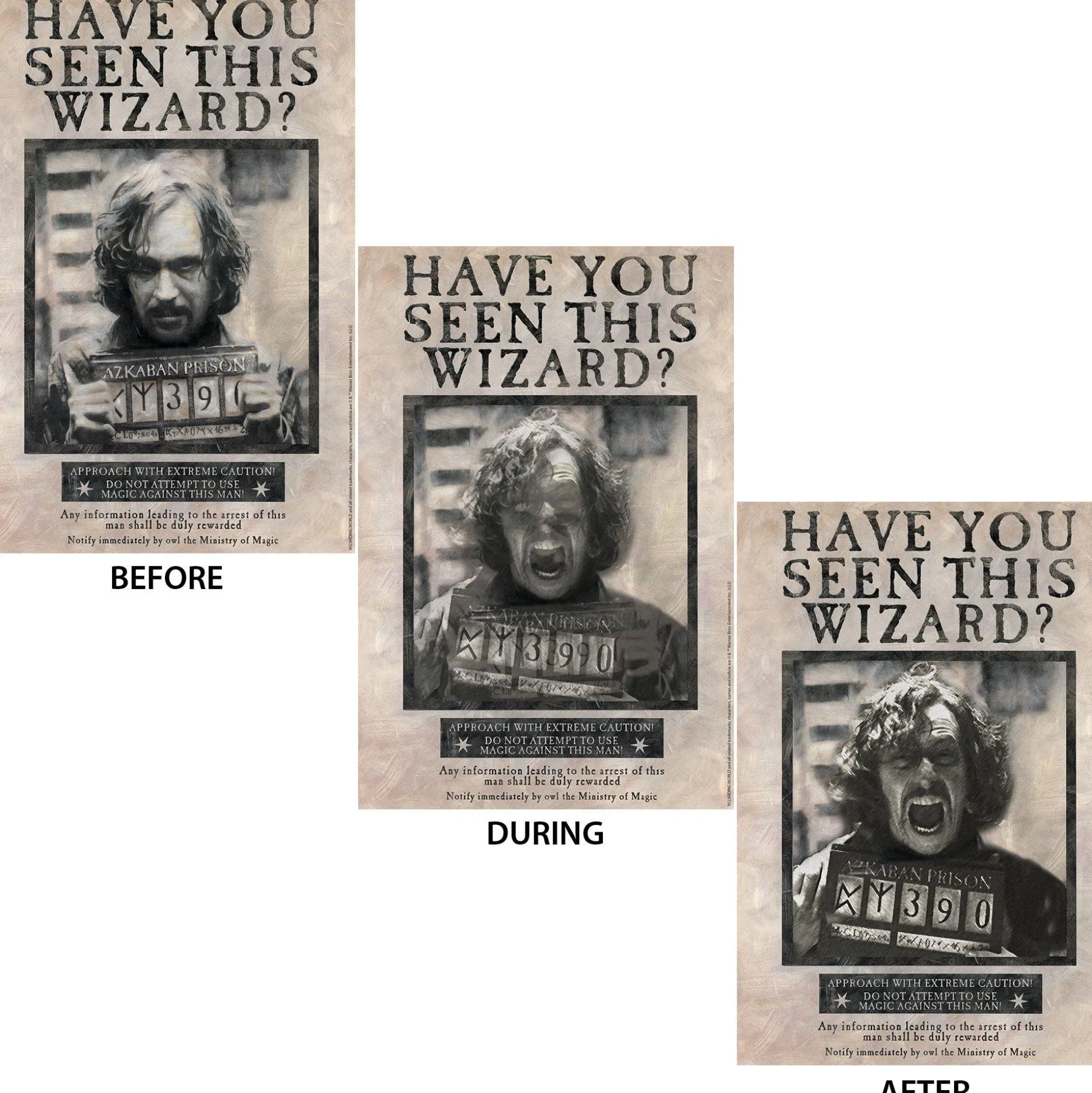 Party City Sirius Black Lenticular Plastic Cutout, 12In X 18In - Harry Potter| Harry Potter Hogwarts