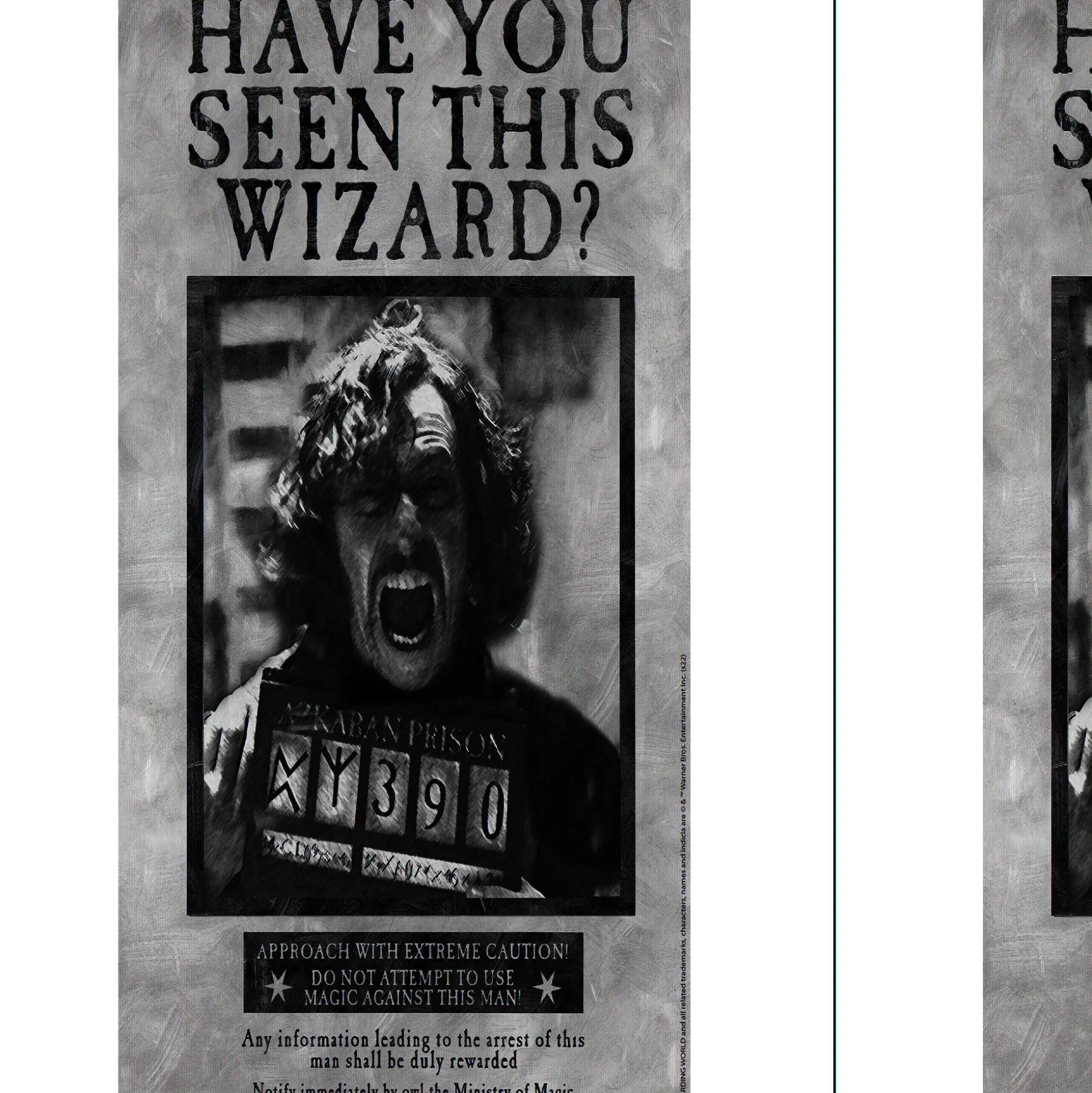 Party City Sirius Black Lenticular Plastic Cutout, 12In X 18In - Harry Potter| Harry Potter Hogwarts