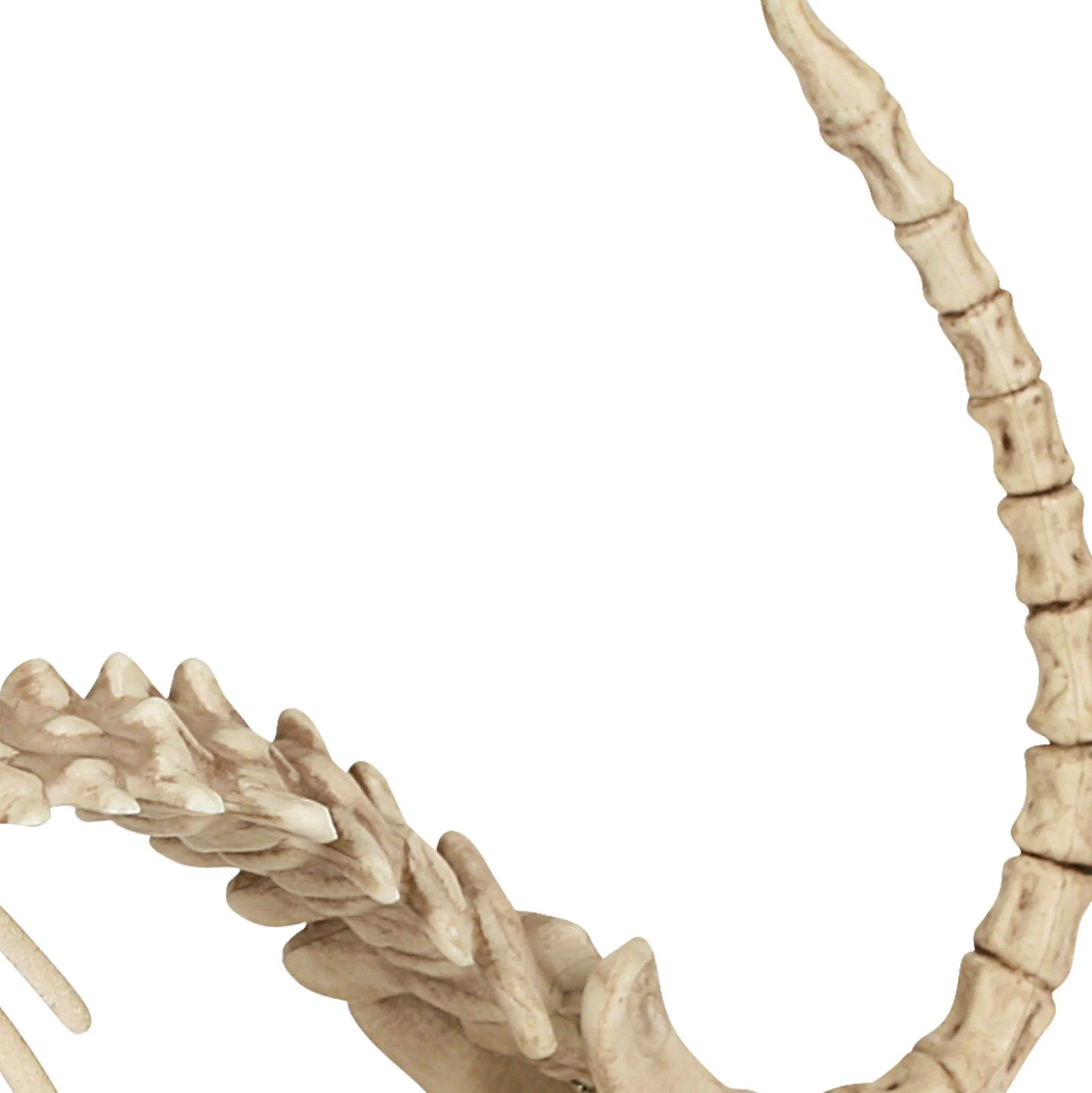 Party City Skeleton Cat Decoration, 18In X 10.25In| Boneyard Glam