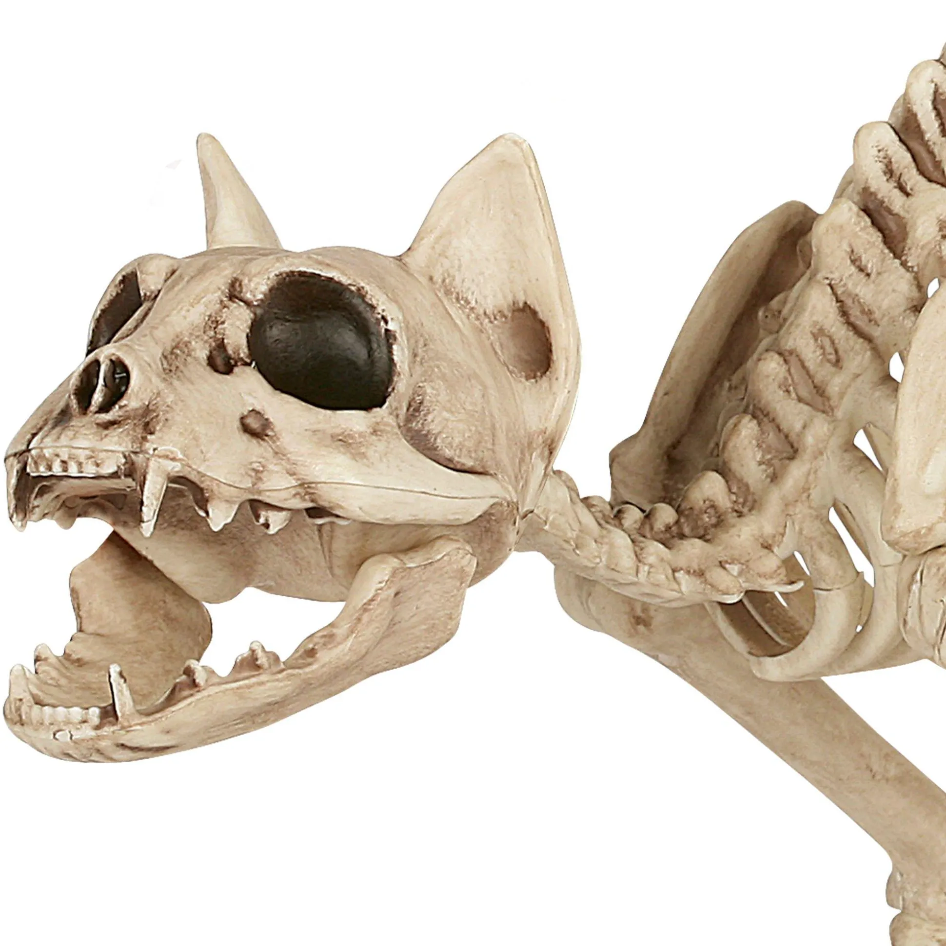 Party City Skeleton Cat Decoration, 18In X 10.25In| Creatures