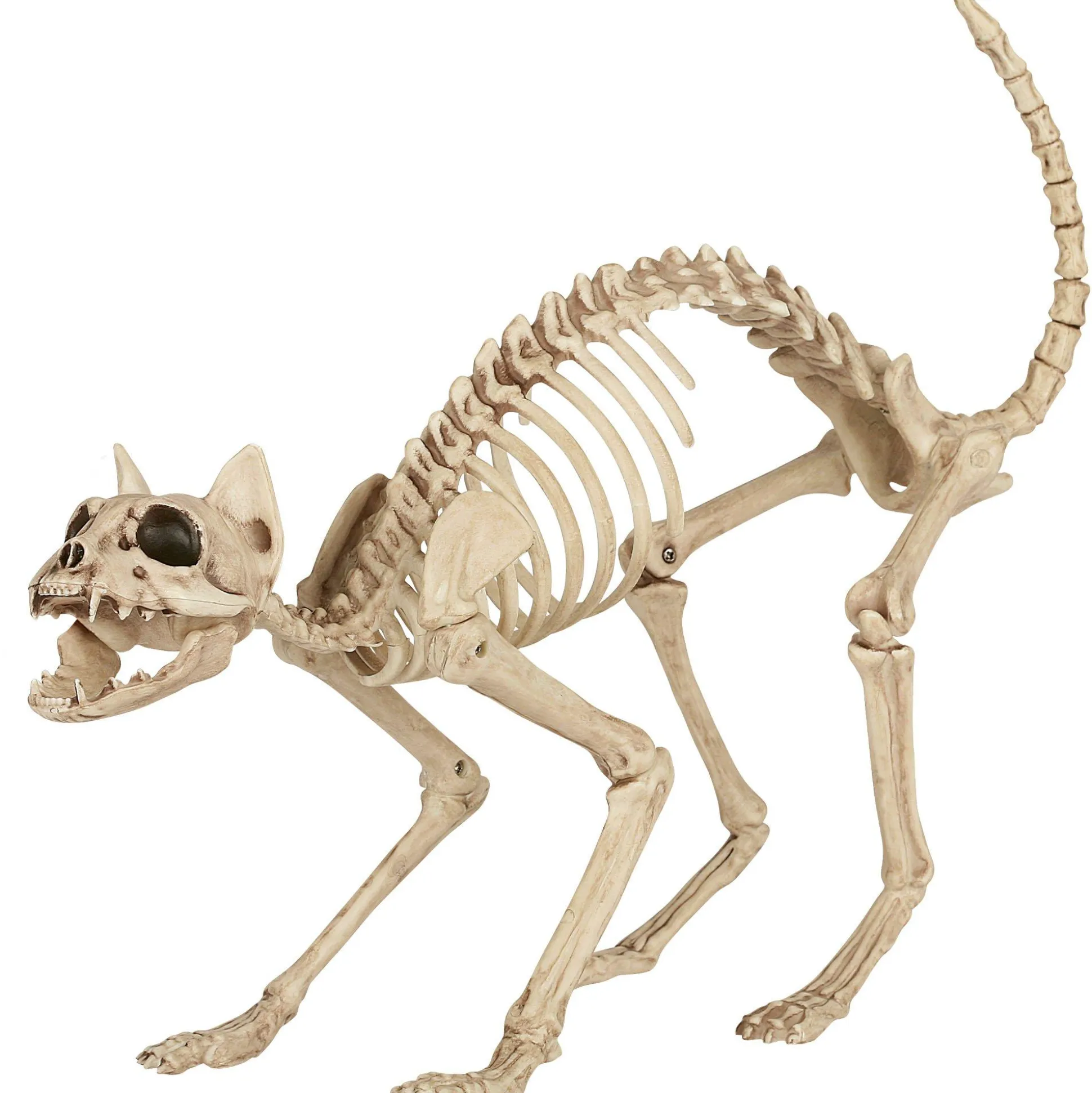 Party City Skeleton Cat Decoration, 18In X 10.25In| Skeletons