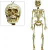 Party City Skeleton Decoration| Skeletons