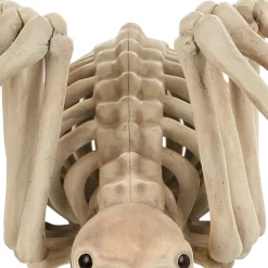 Party City Skeleton Spider Decoration, 21In X 12In| Skeletons