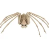 Party City Skeleton Spider Decoration, 21In X 12In| Creatures