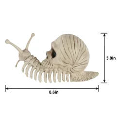 Party City Skull Shell Plastic Snail Skeleton, 3.9In X 8.6In| Creatures