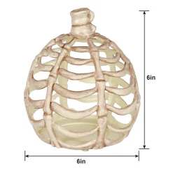 Party City Small Bone Plastic Pumpkin, 6In| Skeletons