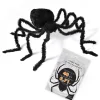Party City Spider & Web Halloween Decorating Kit| Creatures