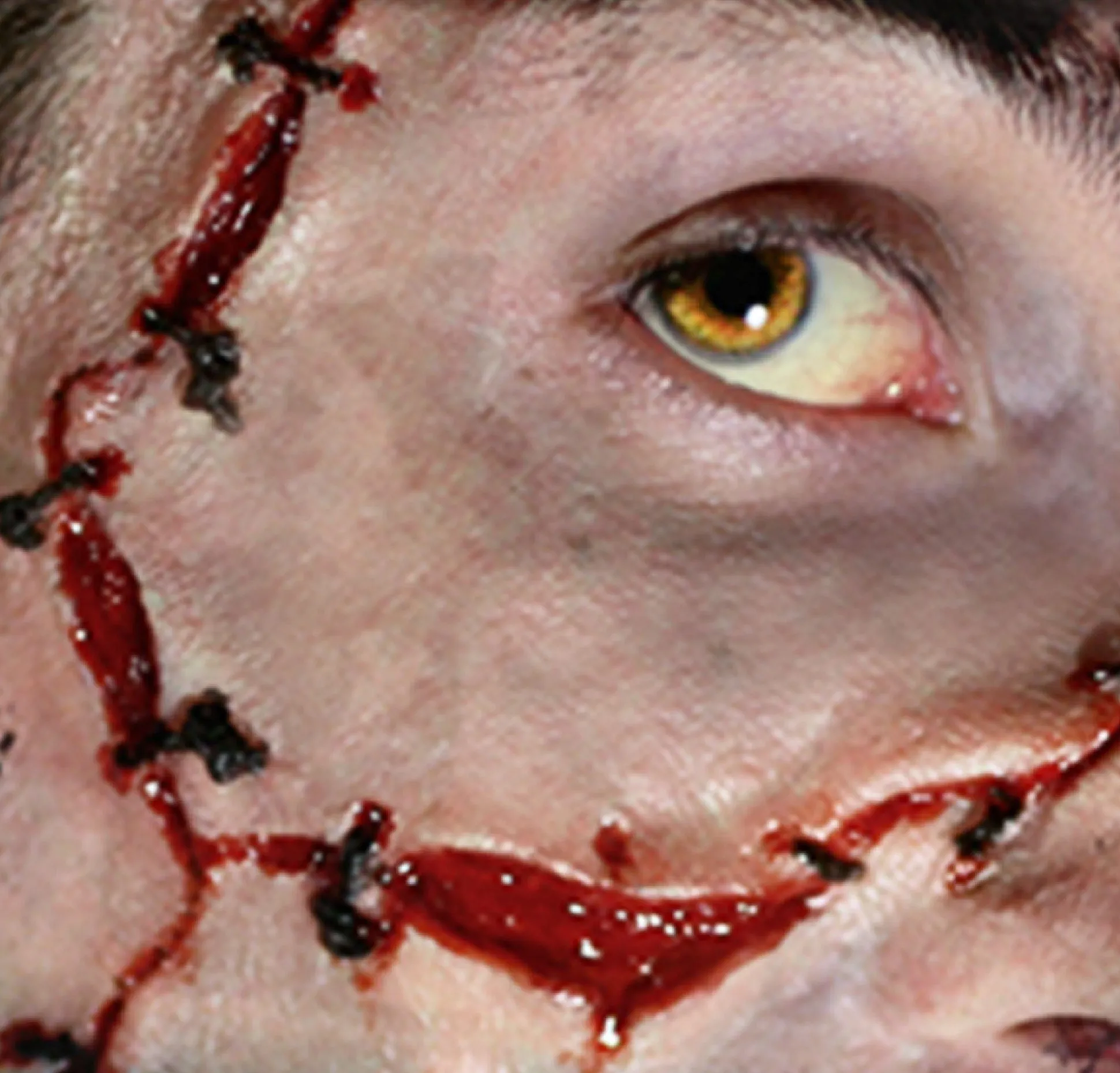 Clearance Stitches Prosthetics 2Ct- Tinsley Transfers Makeup