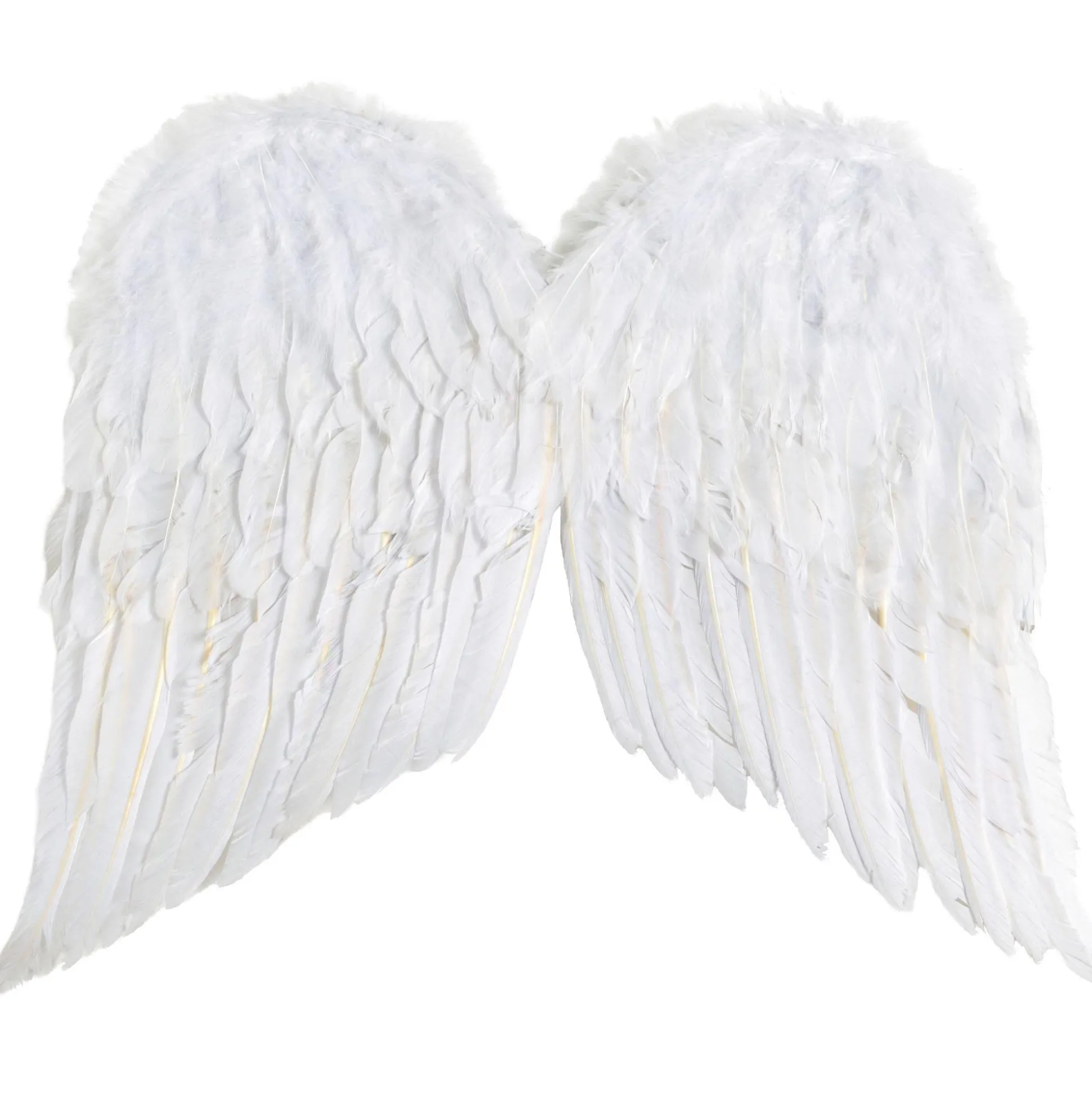 New White Angel Wings Wings