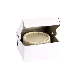 Cheap White Square Cake Box, 10In Baking Supplies