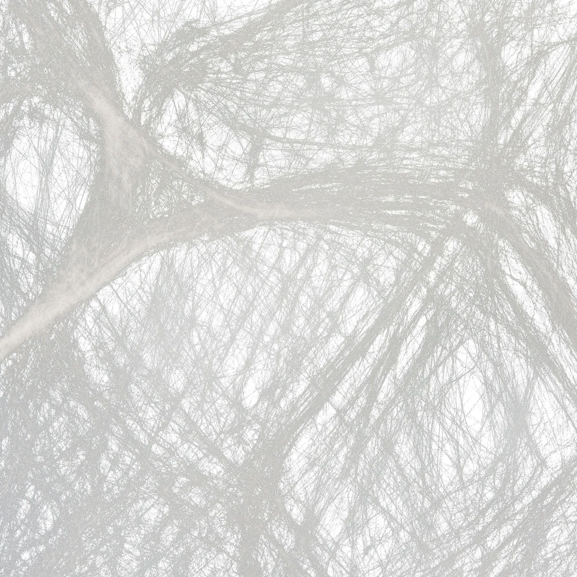 Party City White Stretch Spider Web, 400 Sq Ft| Spiders & Webbing