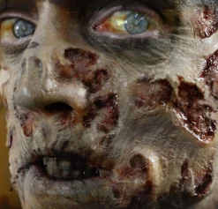 Discount Zombie Rot Wound Prosthetics 4Ct- Tinsley Transfers Makeup